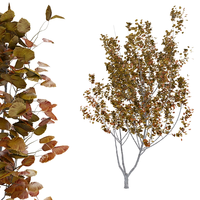 Falling Leaves: Autumn Tree 3D model image 1