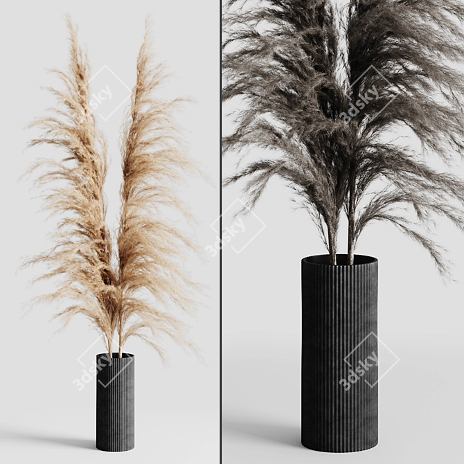 Delicate Pampas Bouquet 3D model image 2