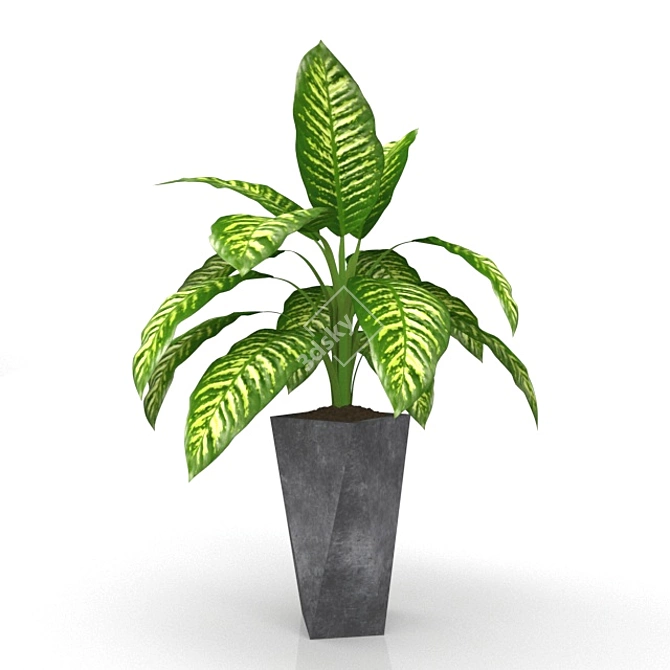 Exquisite Dieffenbachia: Polys 124,282 3D model image 1