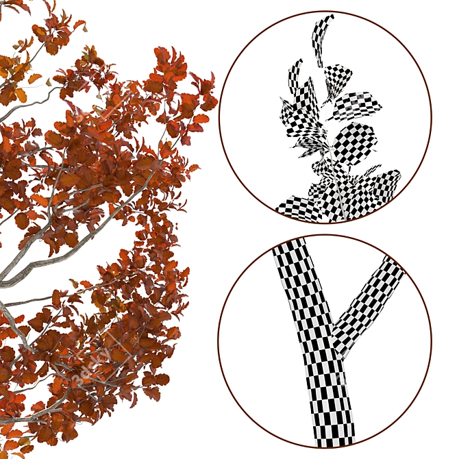 Autumn Treewalk: Serene Seasonal Beauty 3D model image 2