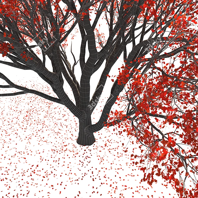  Majestic Red Maple Tree 3D model image 5