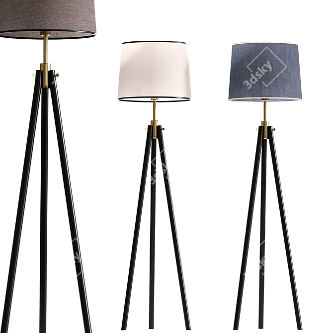 Modern Tripod Floor Lamp Set 3D model image 1