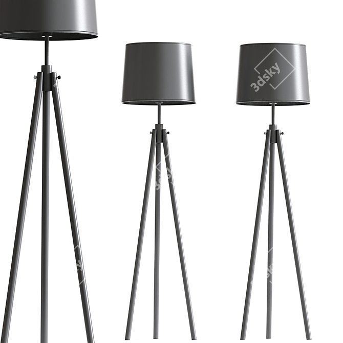 Modern Tripod Floor Lamp Set 3D model image 2