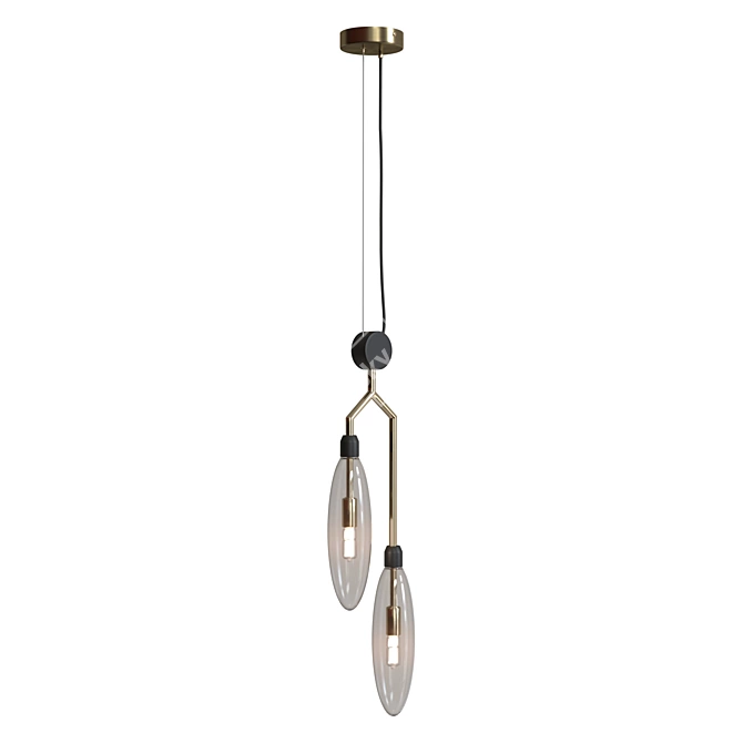 Maytoni Hanging Chandelier MOD012PL-02G 3D model image 1