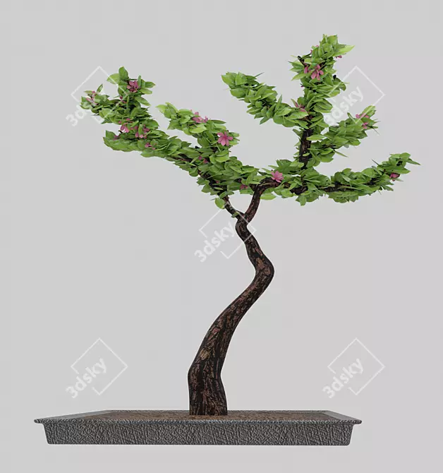 Flowering Bonsai in Pot 3D model image 2