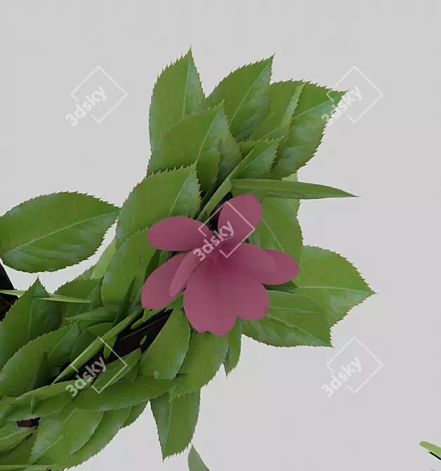 Flowering Bonsai in Pot 3D model image 5