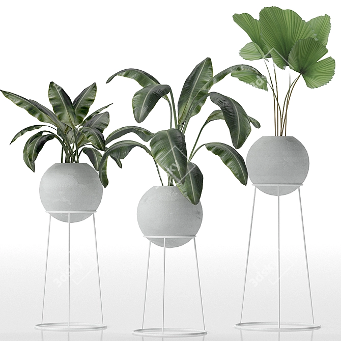 Exquisite Greenery Ensemble 3D model image 2