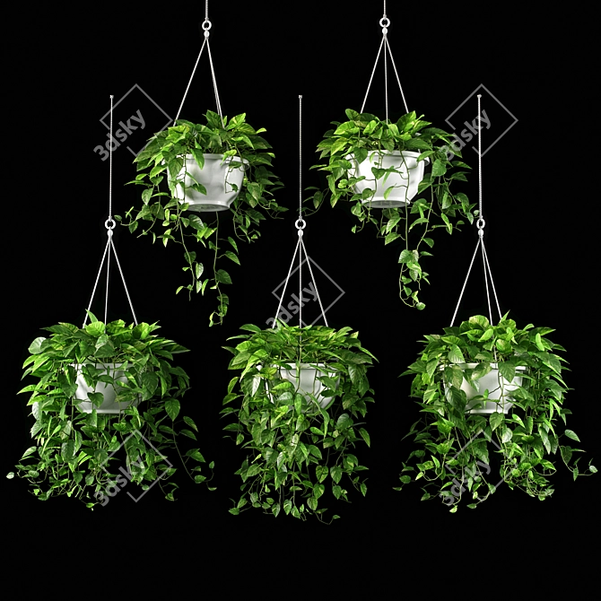 13 Piece Plant Set 3D model image 1