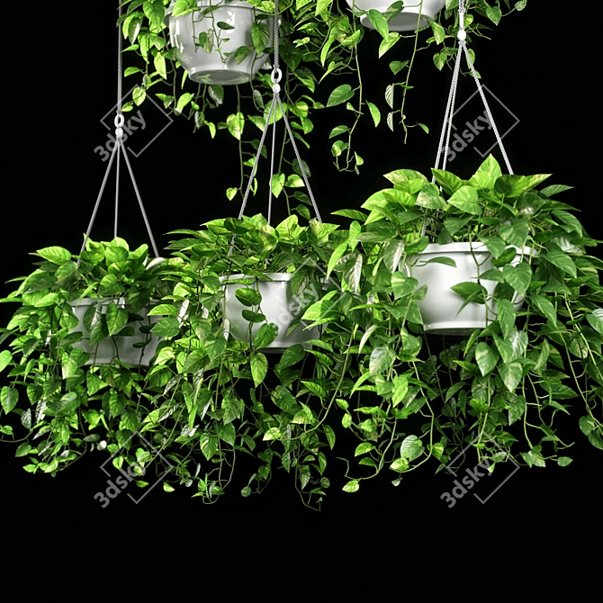 13 Piece Plant Set 3D model image 2