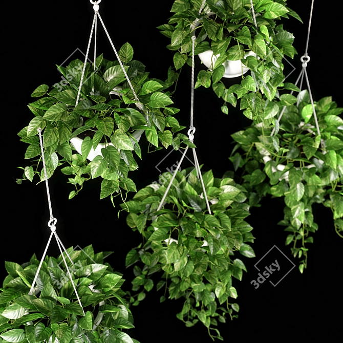 13 Piece Plant Set 3D model image 3