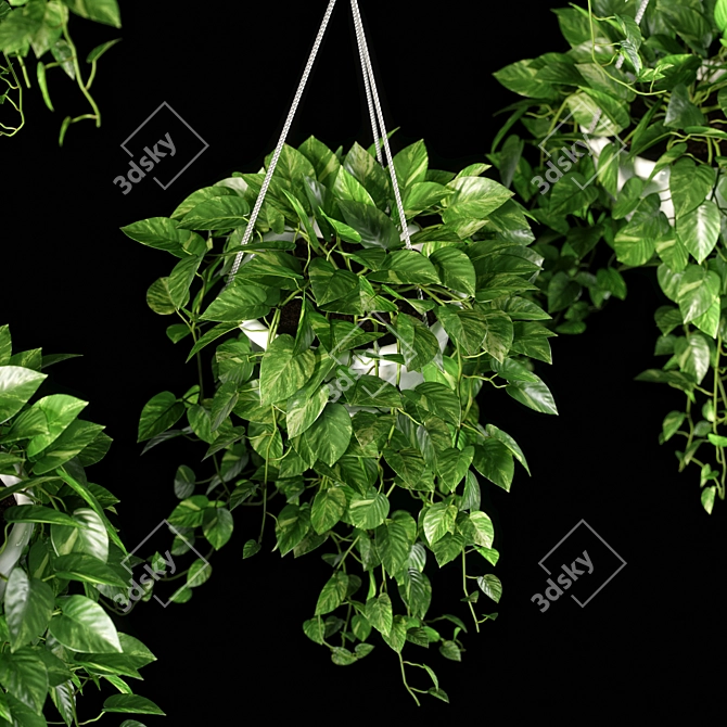 13 Piece Plant Set 3D model image 4