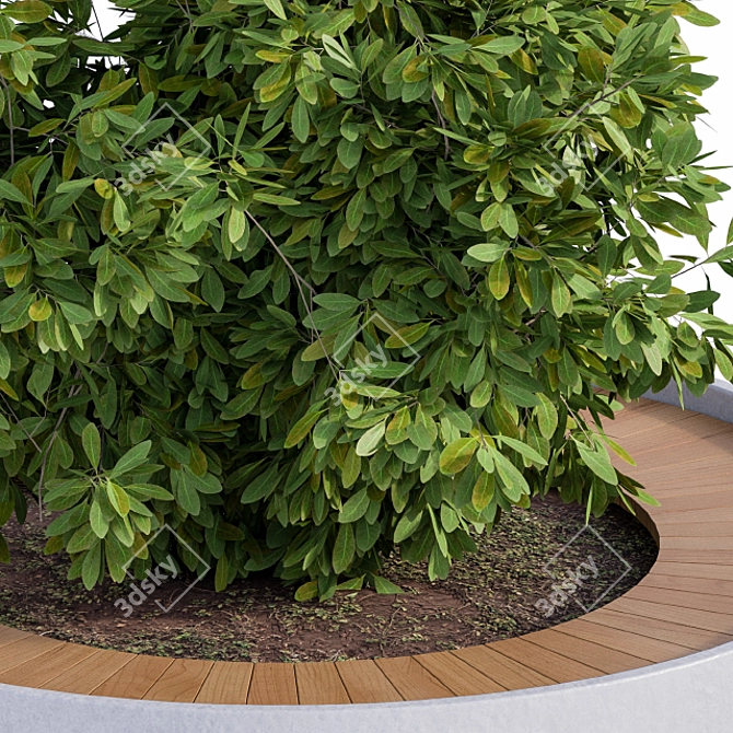 Concrete Round Planter with Plants 3D model image 2