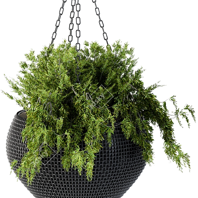 Black Pot Hanging Plant 3D model image 3