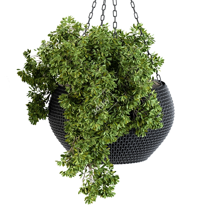 Black Pot Hanging Plant 3D model image 4