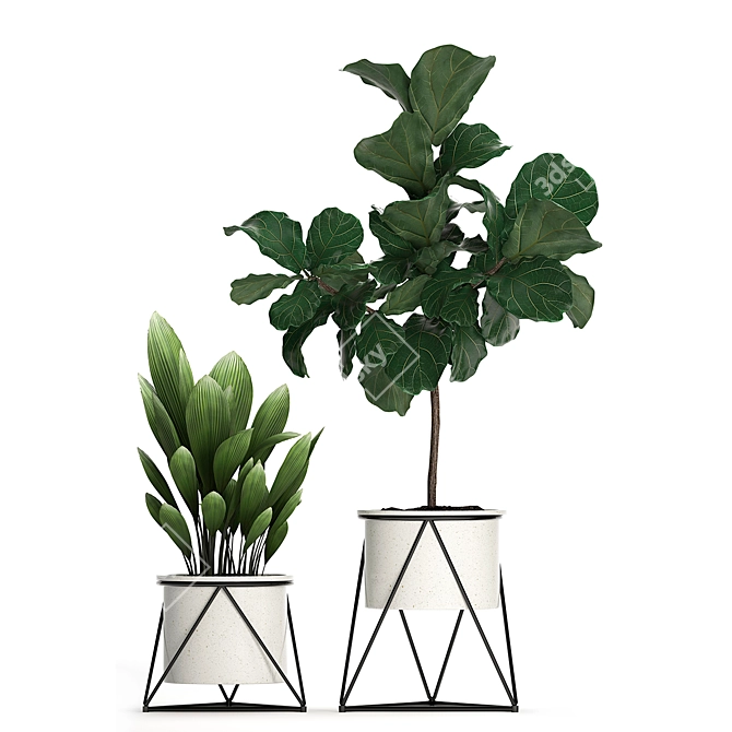 Exotic Indoor Plant Collection 3D model image 2