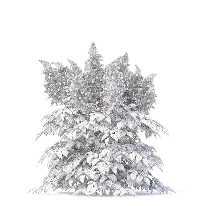 Japanese Astilbe Collection | Astilba Japonica 3D model image 3