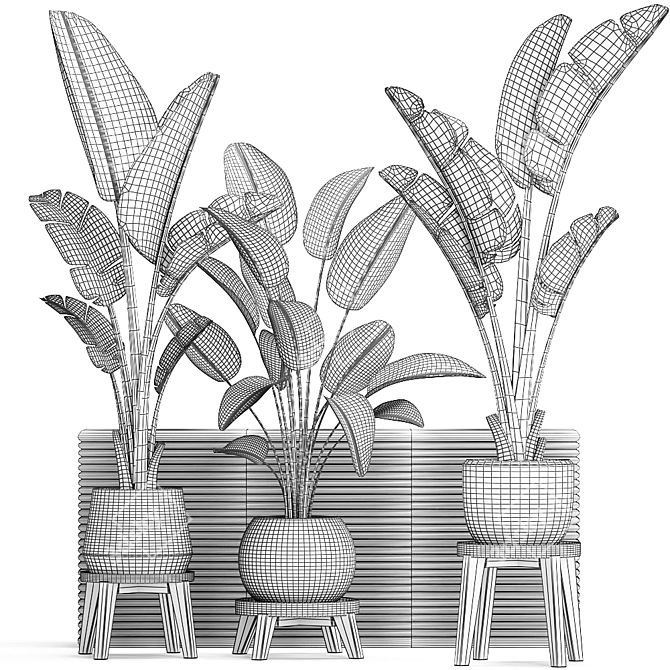 Exotic Houseplant Collection 3D model image 5