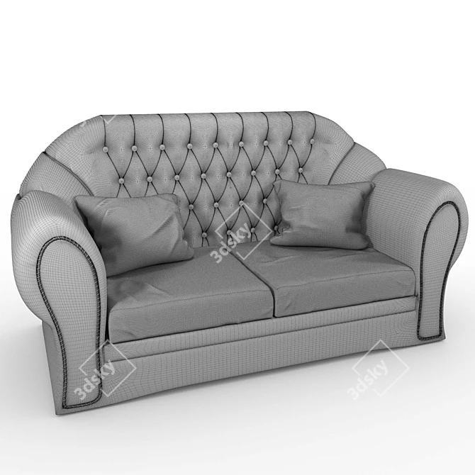 Classic Double Sofa 3D model image 4