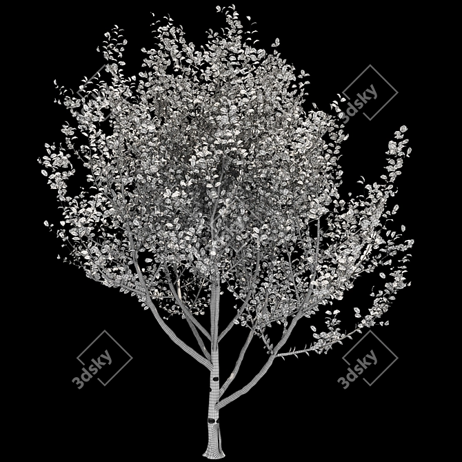 Tree 5-in-1 - 313K polys, 426K verts. Versatile and High-Quality Tree Model 3D model image 3