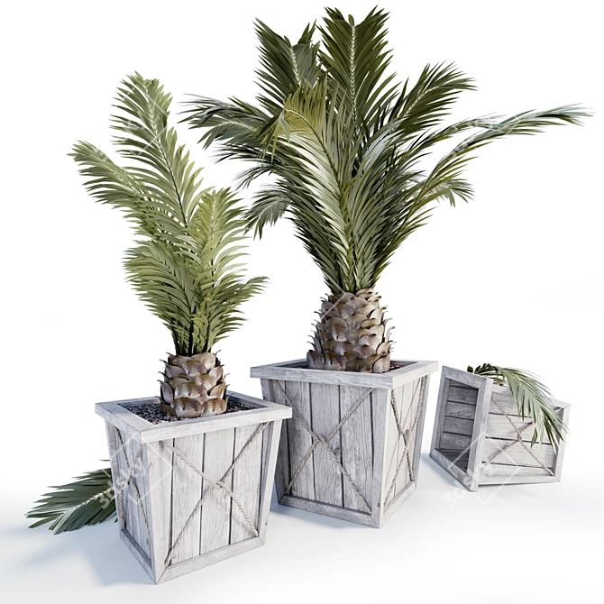 Modern Palm Planters: Stylish and Versatile 3D model image 1