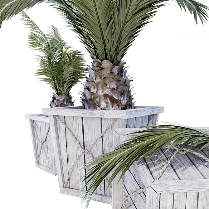 Modern Palm Planters: Stylish and Versatile 3D model image 2