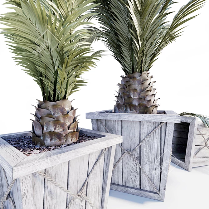 Modern Palm Planters: Stylish and Versatile 3D model image 3