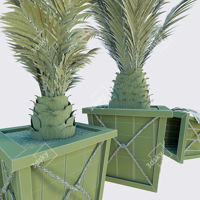 Modern Palm Planters: Stylish and Versatile 3D model image 5