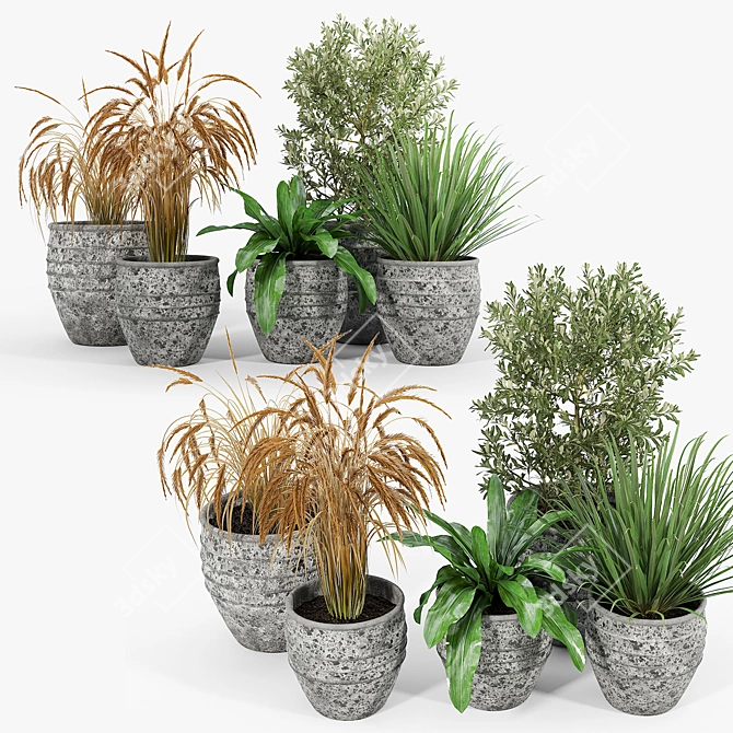 Modern Knisely Pot Planter Set 3D model image 1