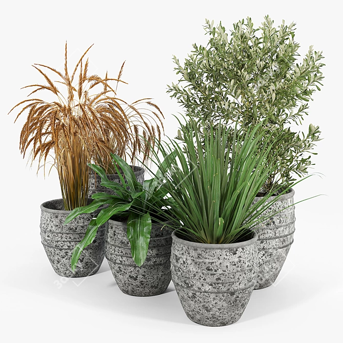 Modern Knisely Pot Planter Set 3D model image 2