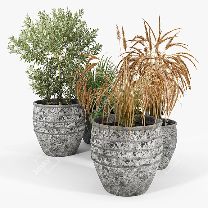 Modern Knisely Pot Planter Set 3D model image 3