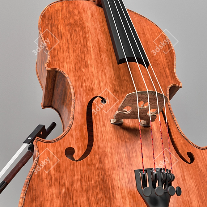 Pristine PBR Cello Set 3D model image 4