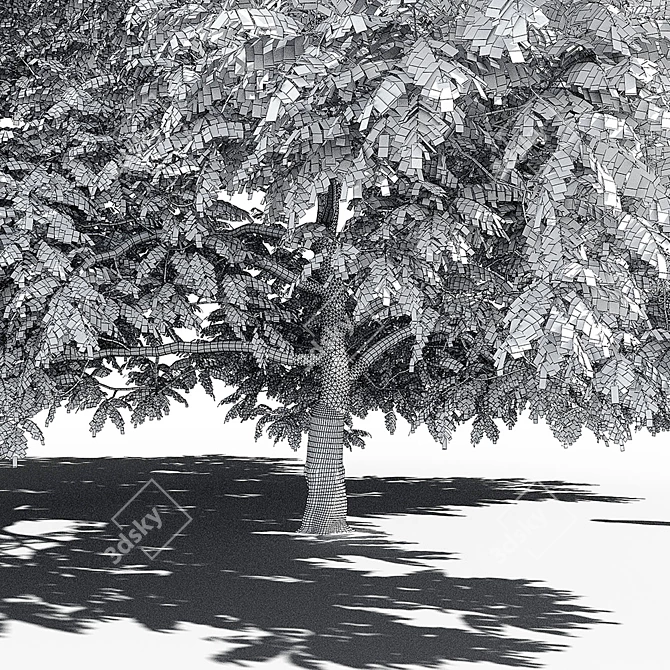 Manchurian Walnut: Exquisite and Hardy 3D model image 5