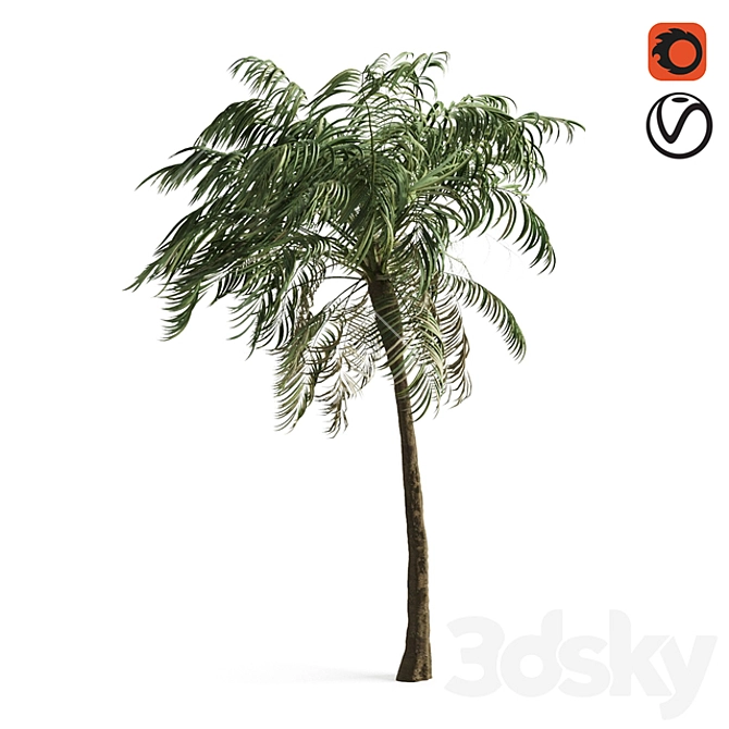 Tropical Paradise Palm Tree 3D model image 3