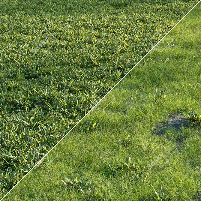 Lush Green Grass Set 3D model image 1