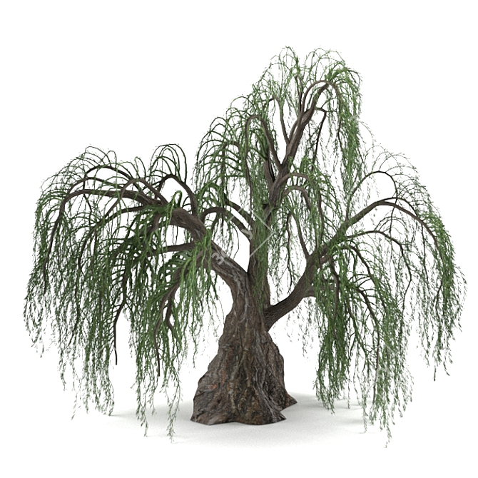 Lifelike Willow Tree Sculpture 3D model image 1