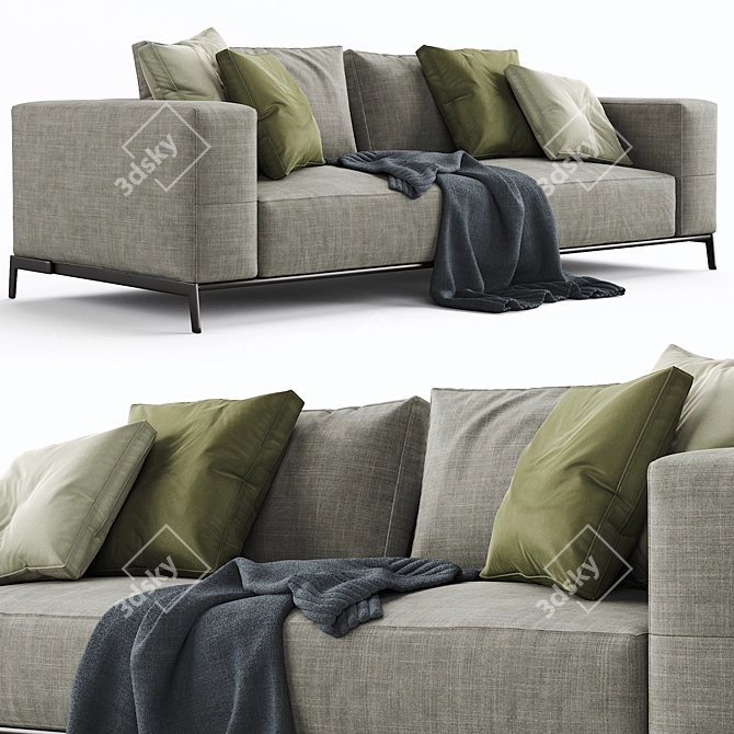 Sleek Flexform Ettore Sofa 3D model image 4