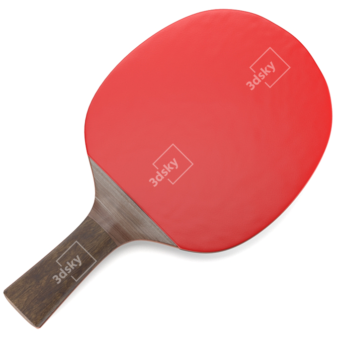 Pro Grip Table Tennis Racquet 3D model image 1