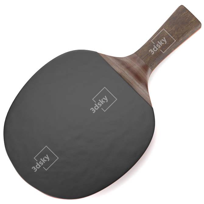 Pro Grip Table Tennis Racquet 3D model image 2