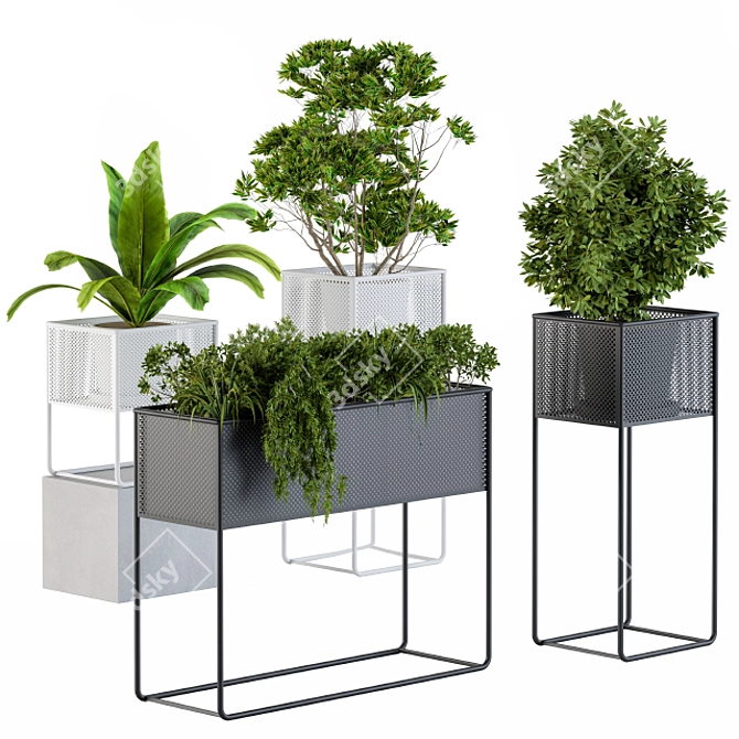 Metal Box Home Set: Stylish Plant Display 3D model image 1