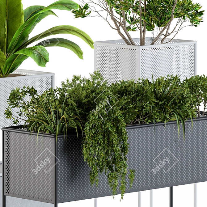 Metal Box Home Set: Stylish Plant Display 3D model image 2