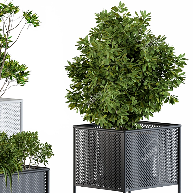 Metal Box Home Set: Stylish Plant Display 3D model image 3