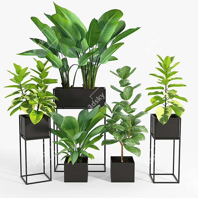 Modern Trio Black Planters: Enhance Your Space 3D model image 1