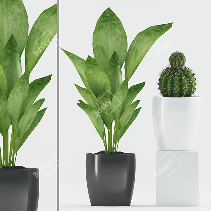 Cactus & Ti Plant in Ceramic Pot 3D model image 1