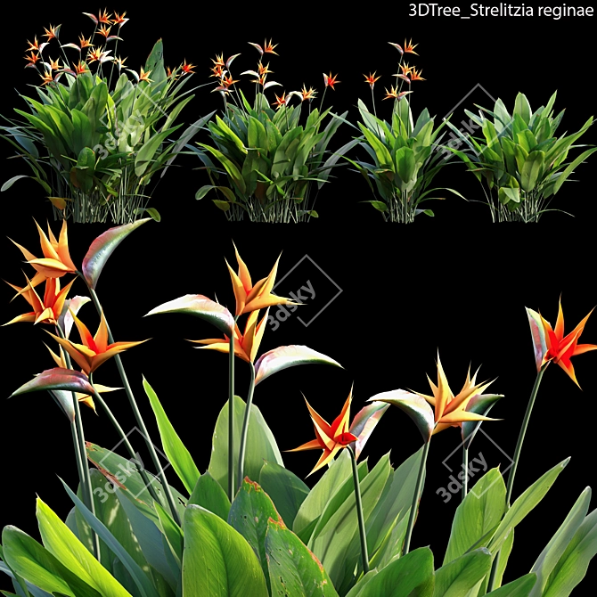 Stunning Strelitzia Model: 4 3D model image 1