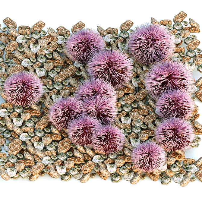 Spectacular Purple Sea Urchin 3D model image 1