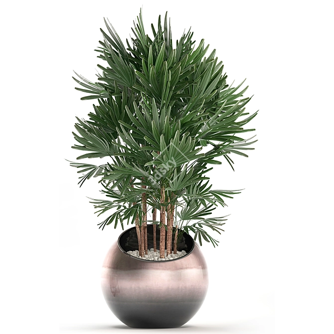 Exotic Houseplant Collection 3D model image 2