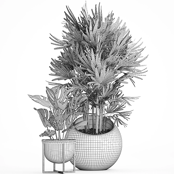 Exotic Houseplant Collection 3D model image 5