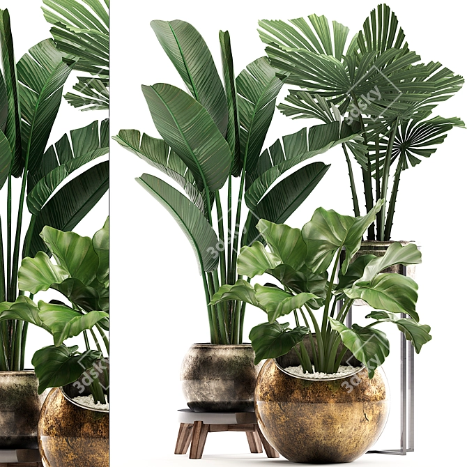 Exotic Houseplant Collection 3D model image 1