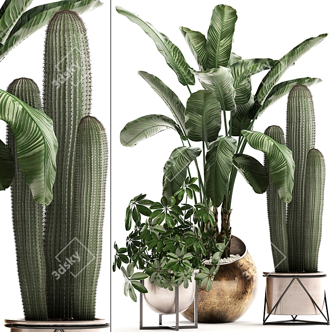 Exotic Houseplant Collection 3D model image 1