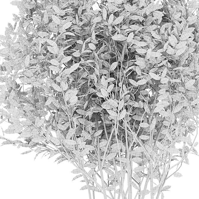 Luscious Cherry Bush Replica 3D model image 5